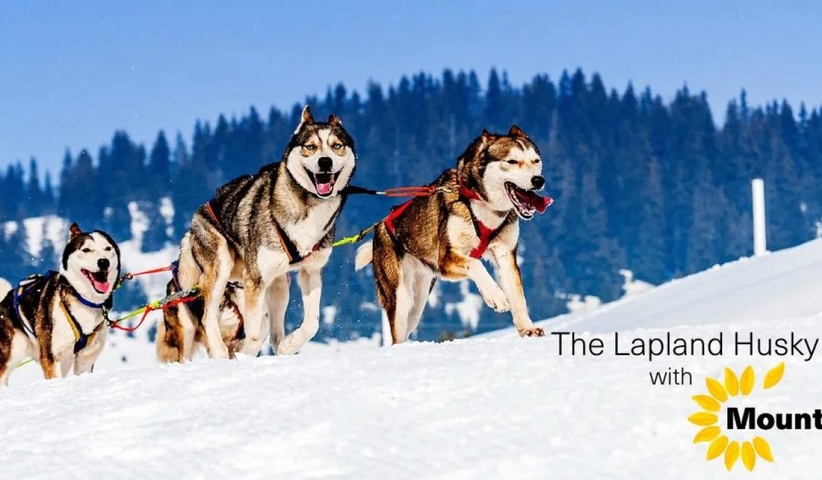 LjvmZeqyAEwwgwdKOBWtVLz1rqKEbQeI5hoZZ5kH